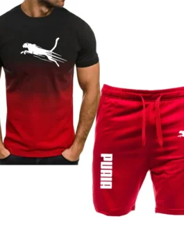 Men’s  Fitness Tshirt & Short Set